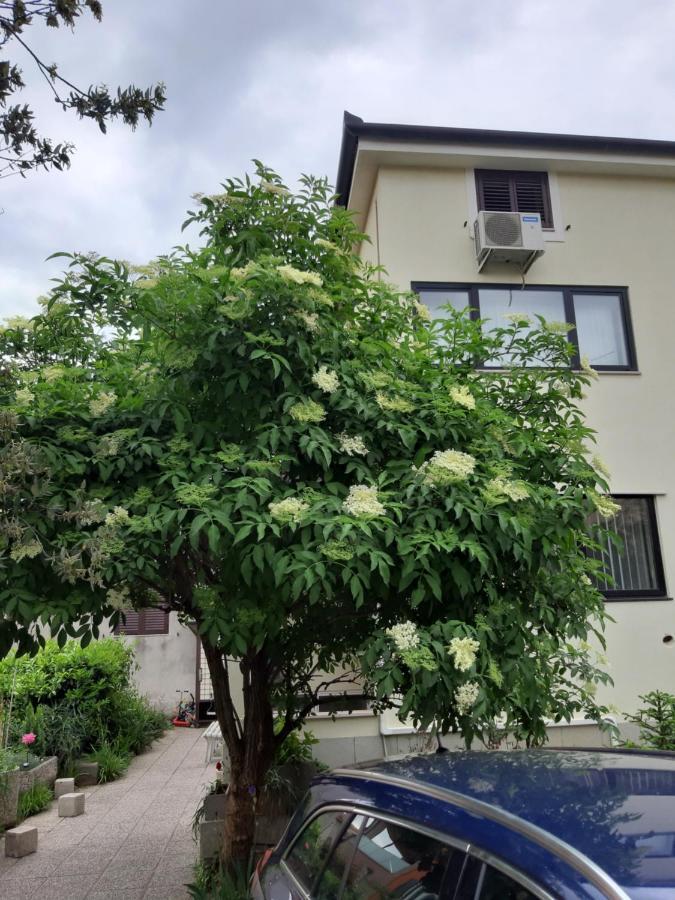 Apartma Lavela Izola Exterior foto